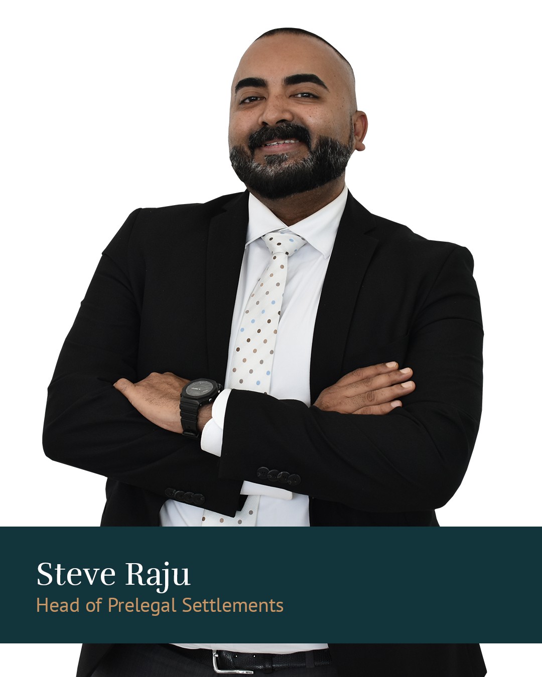 Mr. Steve Raju
