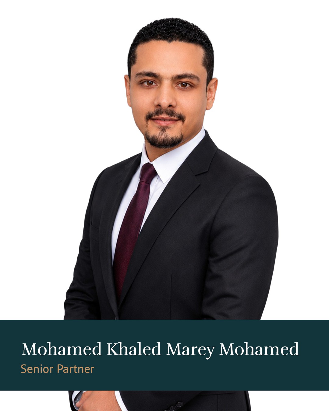 Mohamed Khaled Marey Mohamed
